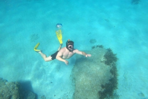 Pafos: Observación de tortugas con esnórquel en moto de mar