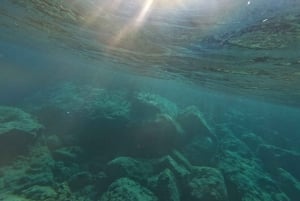 Pafos: Observación de tortugas con esnórquel en moto de mar