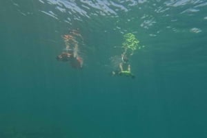 Paphos: Skildpaddeobservation, snorkling og scootertur