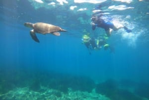 Pafos: Wycieczka skuterem morskim na obserwację żółwi i snorkeling