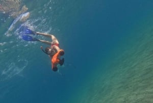 Paphos: Sköldpaddsskådning Snorkling Sea Scooter Trip