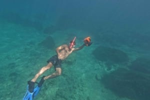 Pafos: Observación de tortugas con esnórquel en moto de mar