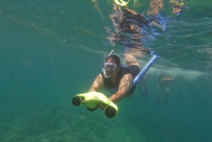 Pafos: Wycieczka skuterem morskim na obserwację żółwi i snorkeling