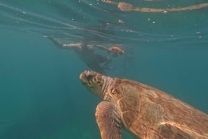 Pafos: Wycieczka skuterem morskim na obserwację żółwi i snorkeling