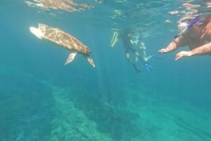 Paphos: Sköldpaddsskådning Snorkling Sea Scooter Trip