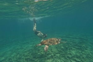 Pafos: Wycieczka skuterem morskim na obserwację żółwi i snorkeling