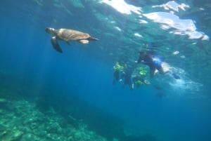 Pafos: Observación de tortugas con esnórquel en moto de mar