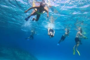 Paphos: Skildpaddeobservation, snorkling og scootertur