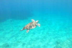 Paphos: Schildkrötenbeobachtung und Schnorchelausflug mit dem Seescooter