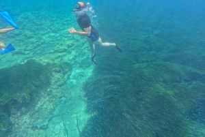 Paphos: Schildkrötenbeobachtung und Schnorchelausflug mit dem Seescooter