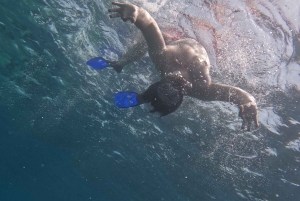 Paphos: Schildkrötenbeobachtung und Schnorchelausflug mit dem Seescooter