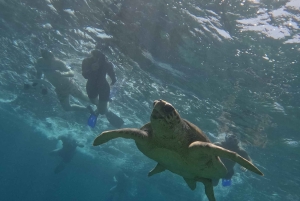 Paphos: Schildkrötenbeobachtung und Schnorchelausflug mit dem Seescooter