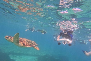 Paphos: Schildkrötenbeobachtung und Schnorchelausflug mit dem Seescooter
