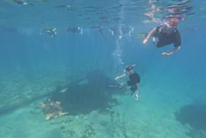 Paphos: Schildkrötenbeobachtung und Schnorchelausflug mit dem Seescooter