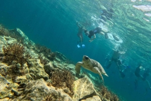 Paphos: Schildkrötenbeobachtung und Schnorchelausflug mit dem Seescooter