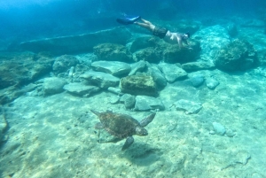 Paphos: Schildkrötenbeobachtung und Schnorchelausflug mit dem Seescooter