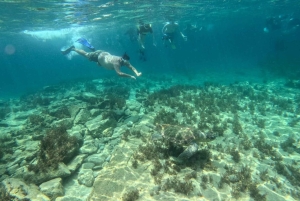 Paphos: Schildkrötenbeobachtung und Schnorchelausflug mit dem Seescooter