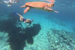 Paphos: Schildkrötenbeobachtung und Schnorchelausflug mit dem Seescooter