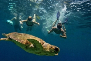 Paphos: Schildkrötenbeobachtung und Schnorchelausflug mit dem Seescooter