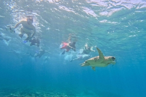 Paphos: Schildkrötenbeobachtung und Schnorchelausflug mit dem Seescooter