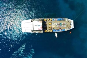 Pafos: Halvdags kryssning med Wave Dancer med BBQ och öppen bar