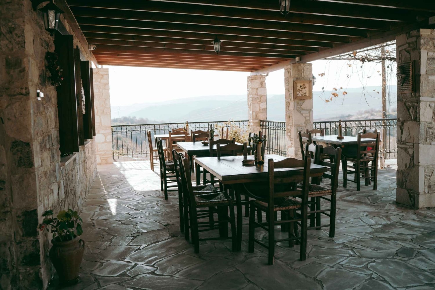 パフォス：ワインとハルーミチーズのテイスティングツアー（送迎付き）