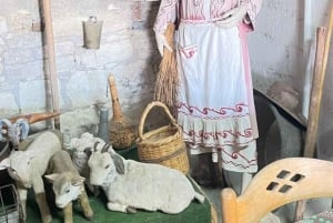 パフォス：ワインとハルーミチーズのテイスティングツアー（送迎付き）