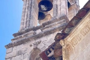 パフォス：ワインとハルーミチーズのテイスティングツアー（送迎付き）