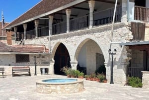 パフォス：ワインとハルーミチーズのテイスティングツアー（送迎付き）