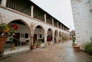 パフォス：ワインとハルーミチーズのテイスティングツアー（送迎付き）