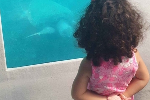 Paphos: Yellow Submarine Swim Cruise with Unlimited Drinks