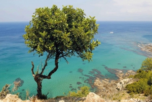 Paphos: Zoo Visit and Blue Lagoon Cruise with Guide & Lunch