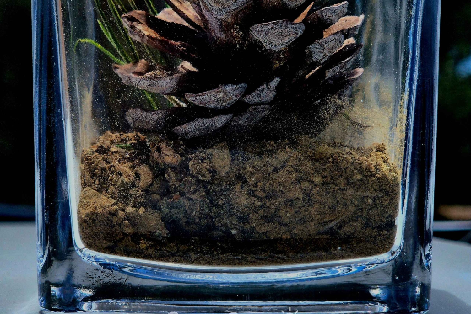 Platres & Omodos: Tour with Wine, Chocolate, Walks & Clicks