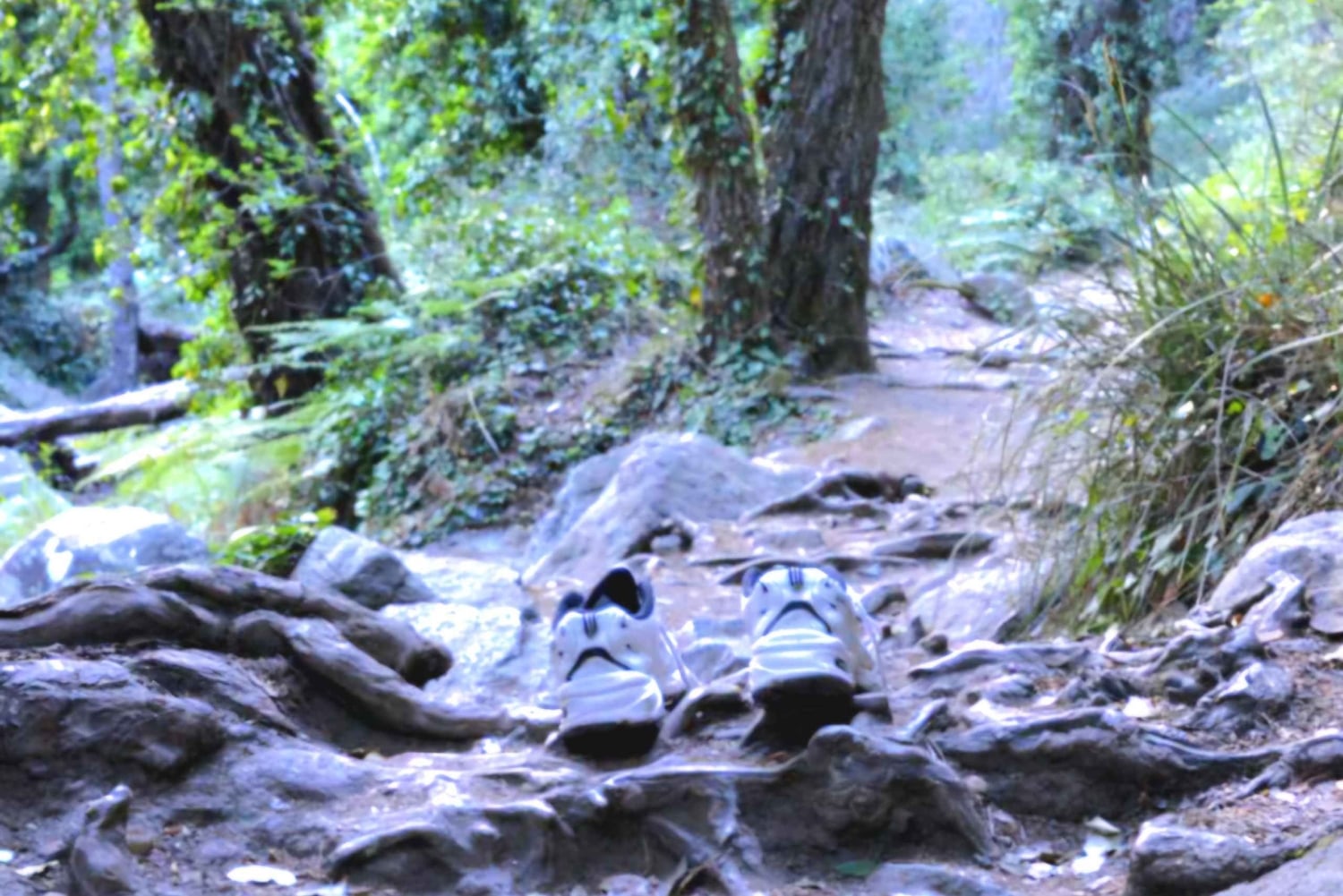 Platres & Omodos: Tour with Wine, Chocolate, Walks & Clicks