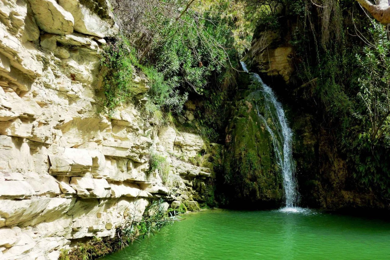 Safari privé en jeep incluant la baie des tortues et les chutes d'eau d'Adonis