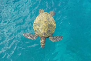 Safari privado en Jeep, incluyendo la Bahía de las Tortugas y las Cascadas de Adonis