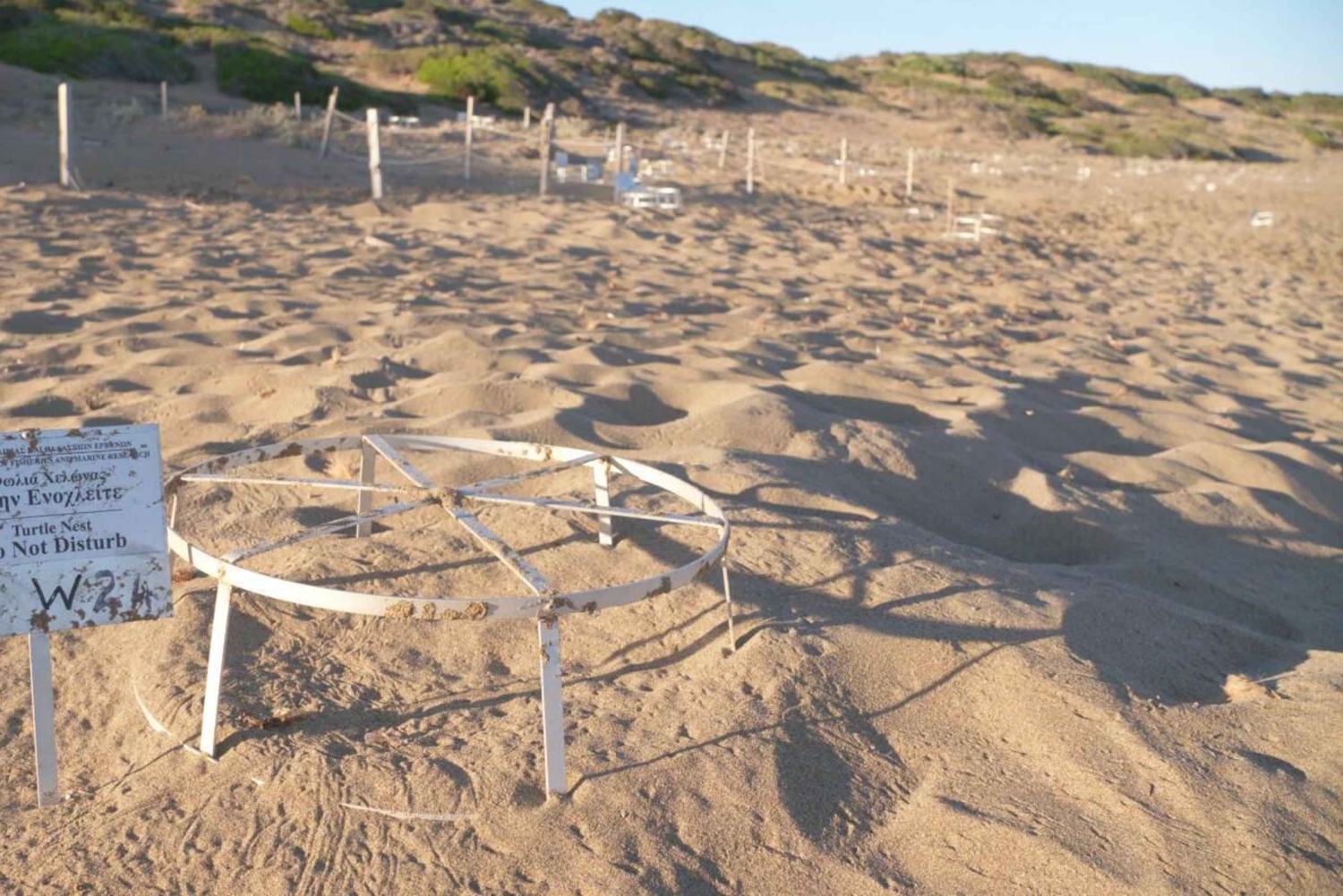 Privat jeepsafari Sköldpaddsäventyr & Adonis vattenfall