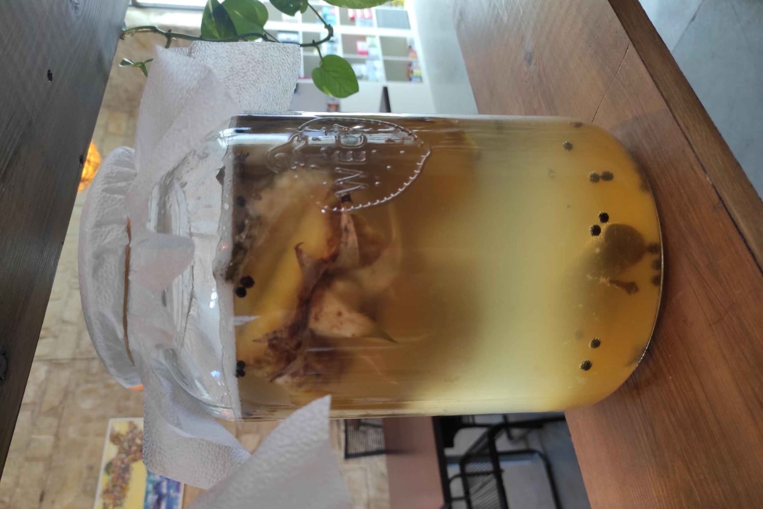 Yksityinen Kombucha Making Workshop Kyproksella