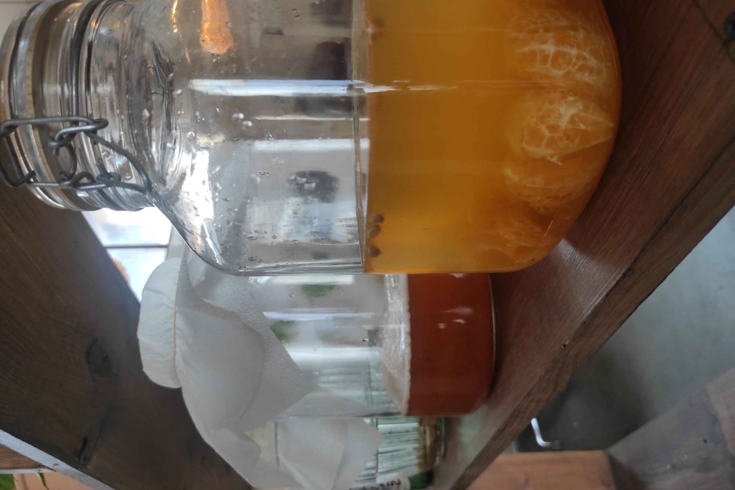 Yksityinen Kombucha Making Workshop Kyproksella