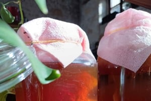 Yksityinen Kombucha Making Workshop Kyproksella