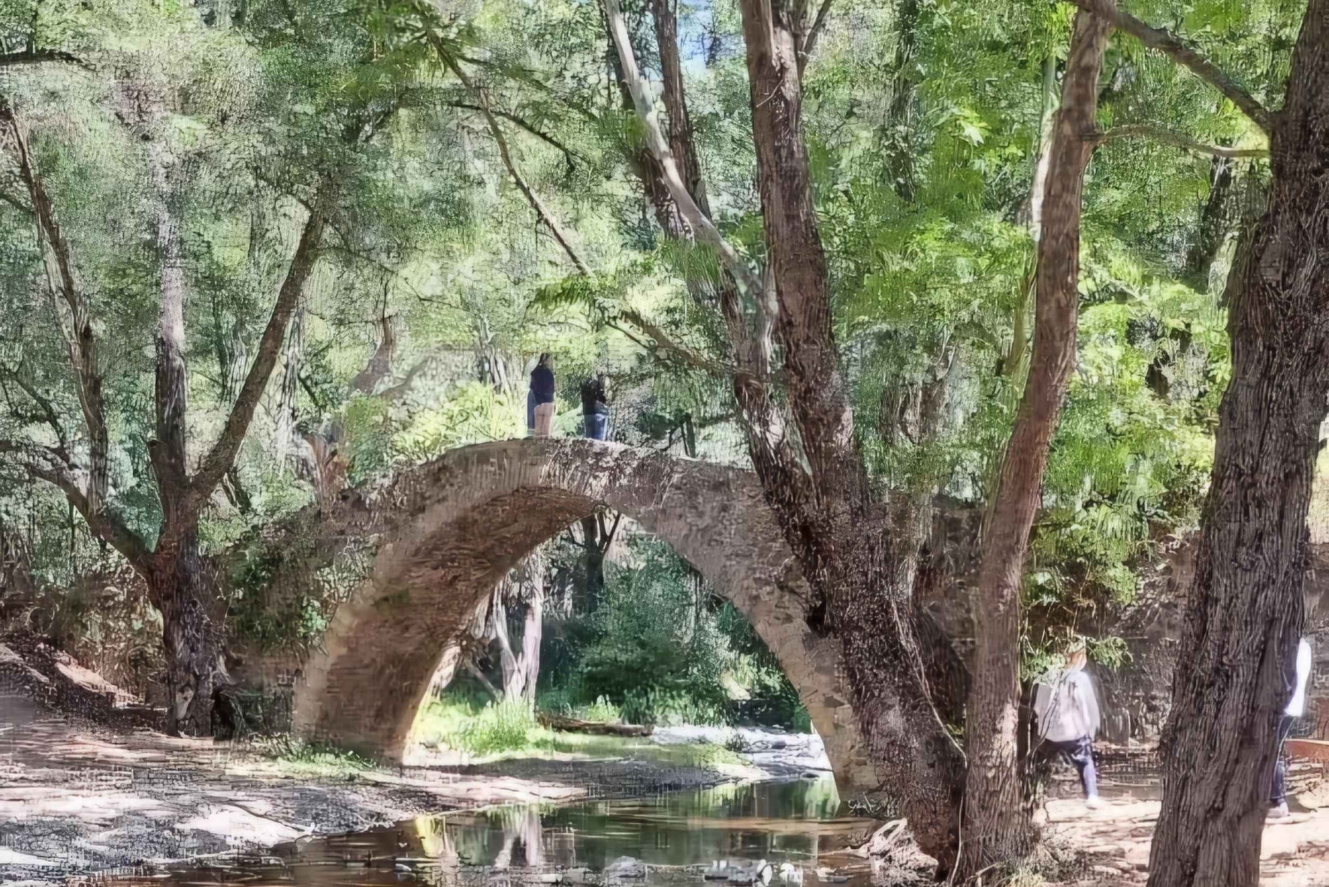 PrivateTours: Troodos Mountains or Akamas National Park Tour