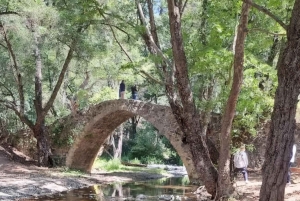 PrivateTours: Troodos Mountains or Akamas National Park Tour