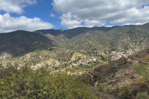 PrivateTours: Troodos Mountains or Akamas National Park Tour