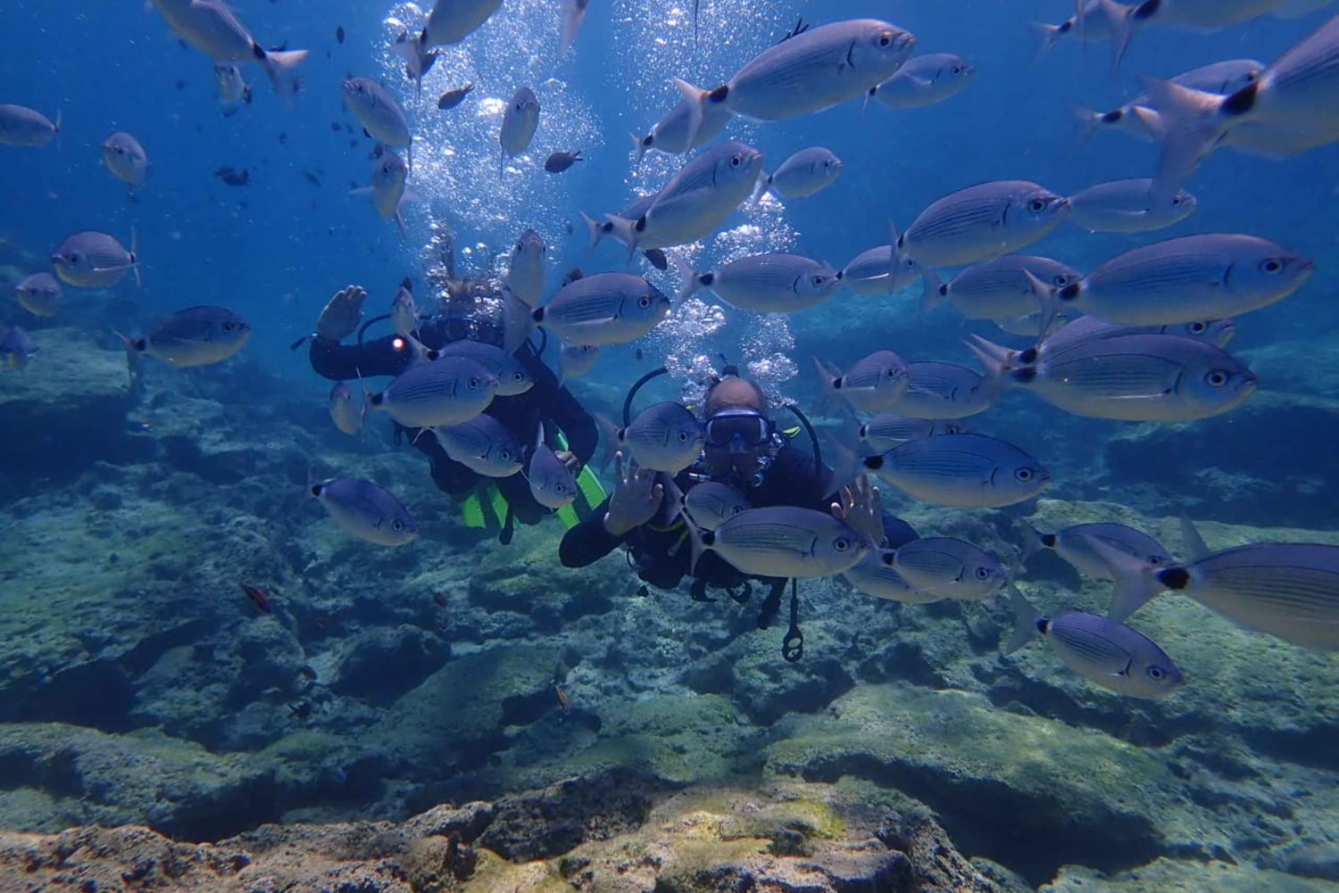 Protaras: 3-4 días PADI Open Water Diver en Protaras