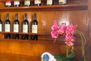 Protaras: Luksusowy jacht tylko dla dorosłych z grillem i 1 drinkiem
