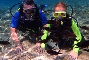 Protaras: Bubblemaker-dykkurs och 2-meter-dykning