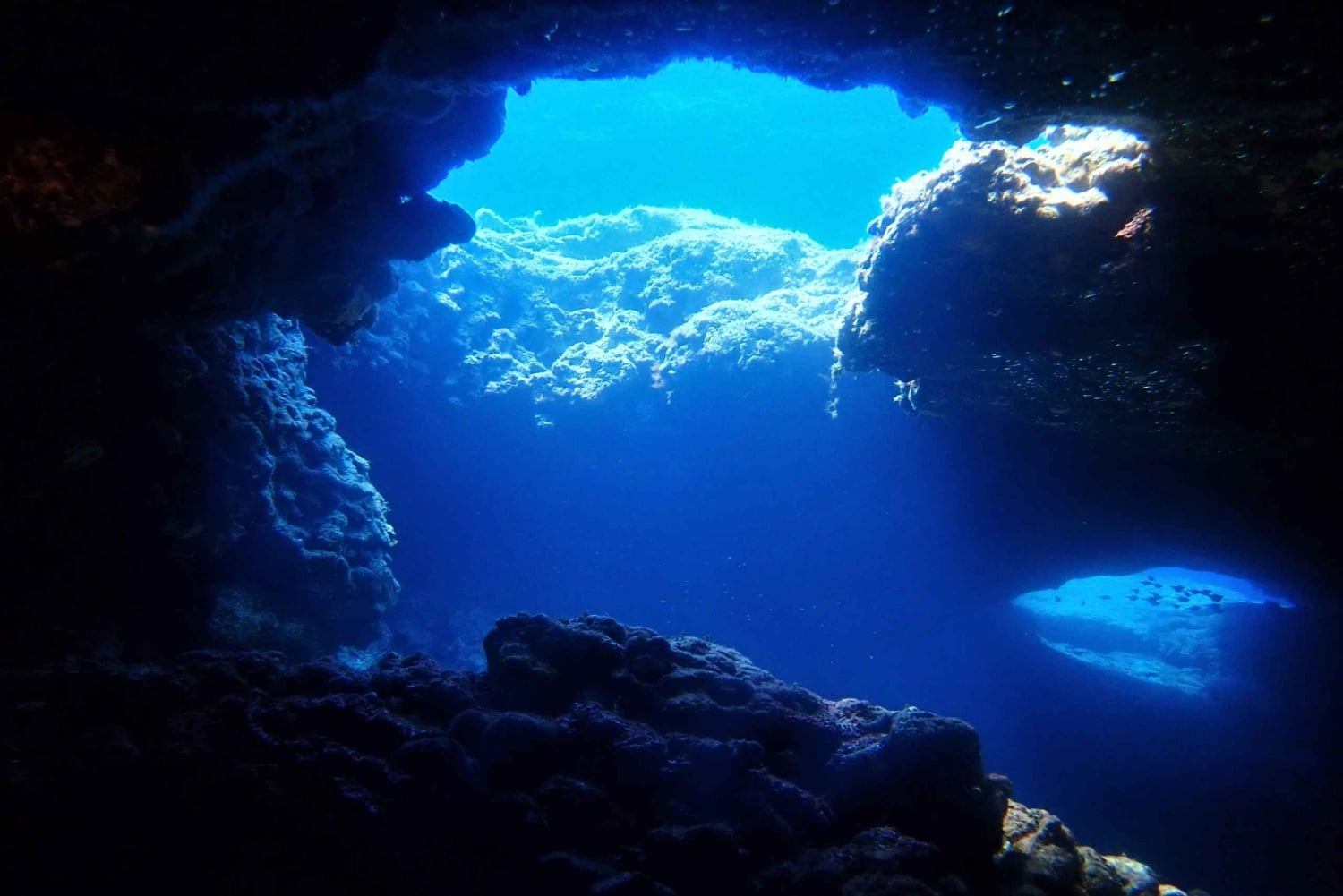 Protaras: Cape Grecko mergulho único para mergulhadores qualificados