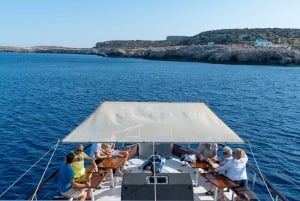 Protaras: Cruise with BBQ Lunch, Wine and Soft Drinks