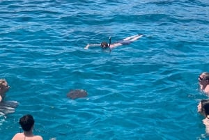 Protaras: Harmonia | Barco de luxo, Aventura com tartarugas a um preço acessível