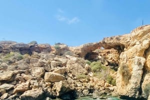 Protaras: Harmonia | Barco de luxo, Aventura com tartarugas a um preço acessível